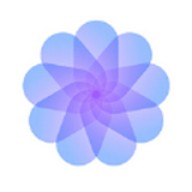 野花韩国免费高清神马视频下载