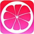 福建导航app网站入口下载安装安卓版