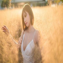 9AB2尺寸日本：深度解析与未来趋势展望